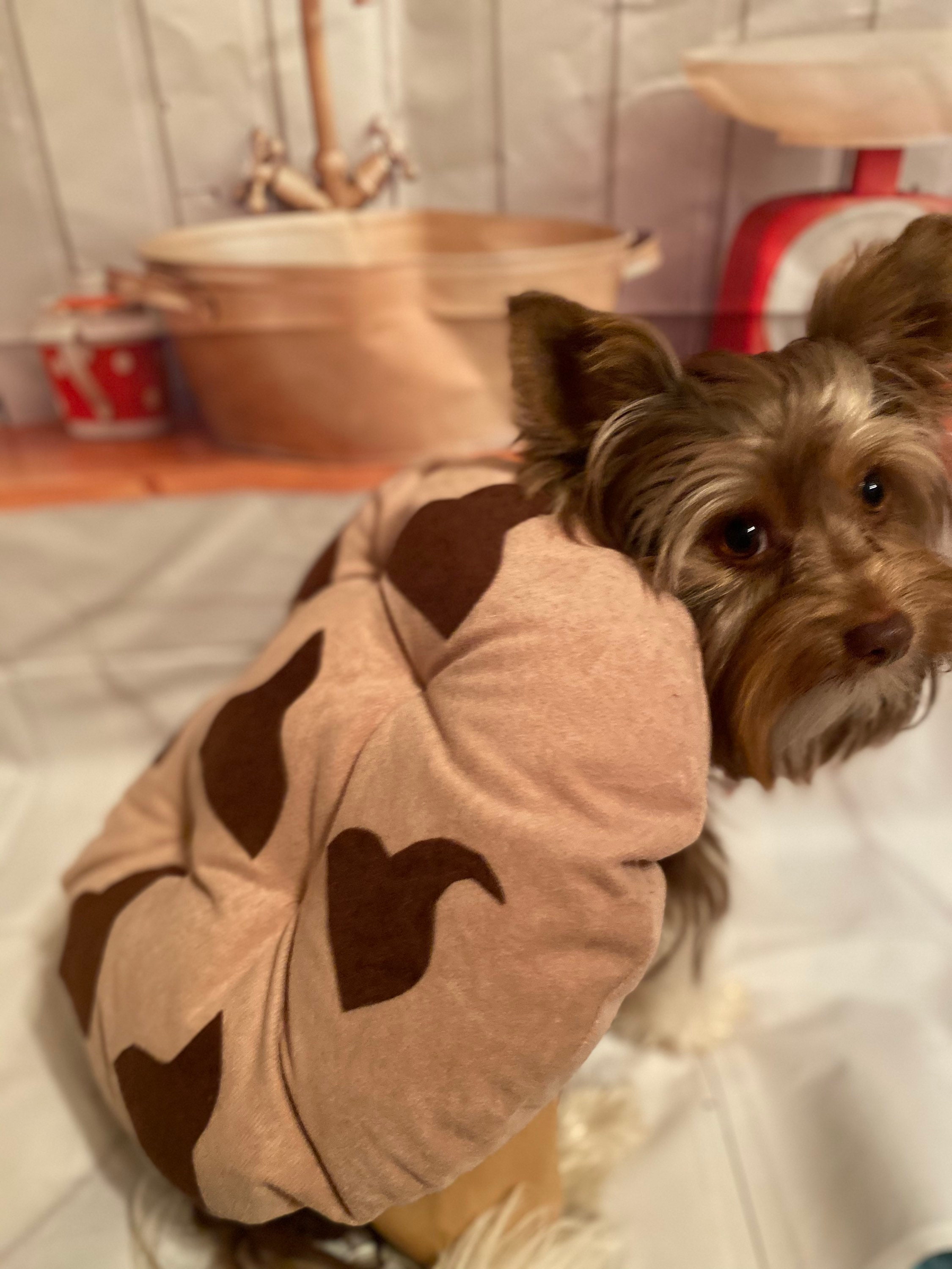 Chocolate chip cookie dog halloween costume