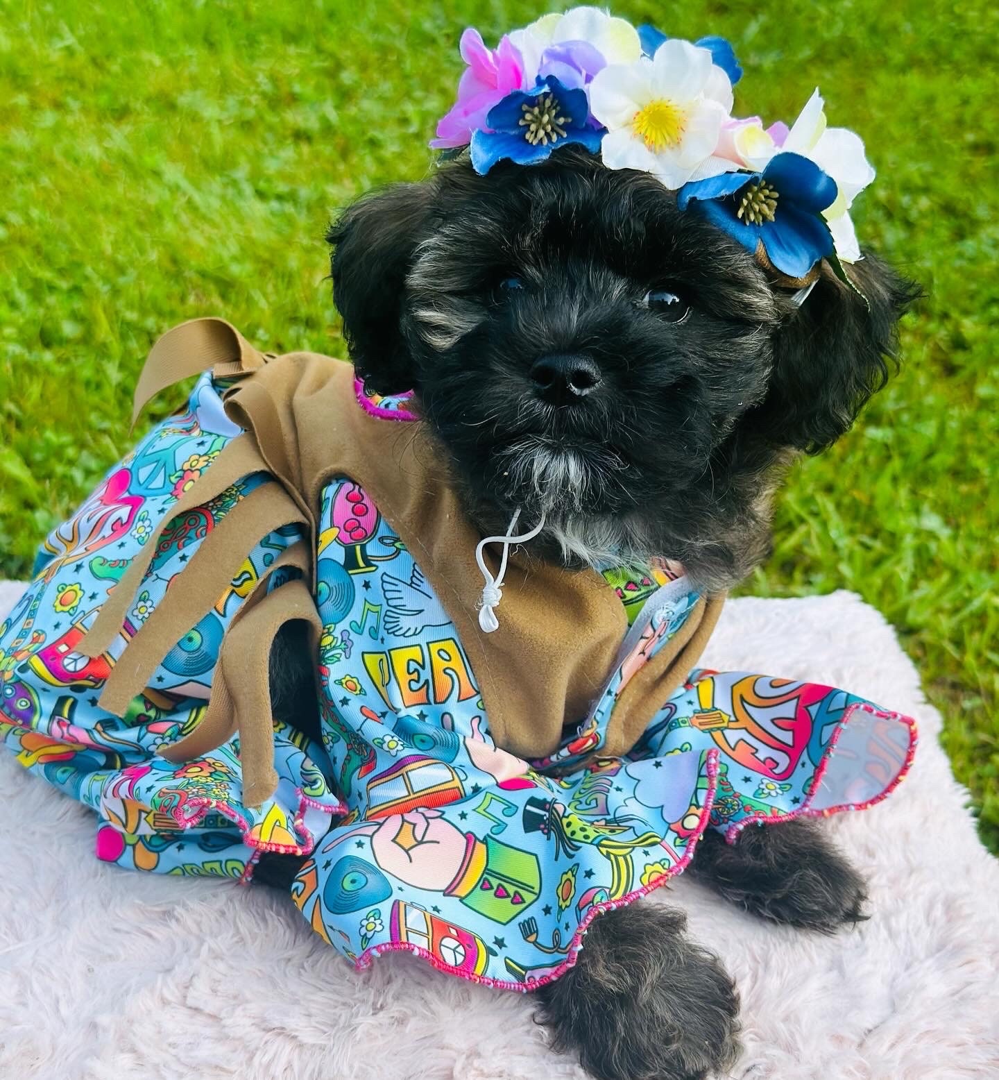 Adorable Hippie Woofstock peace Dog costume with flower headband