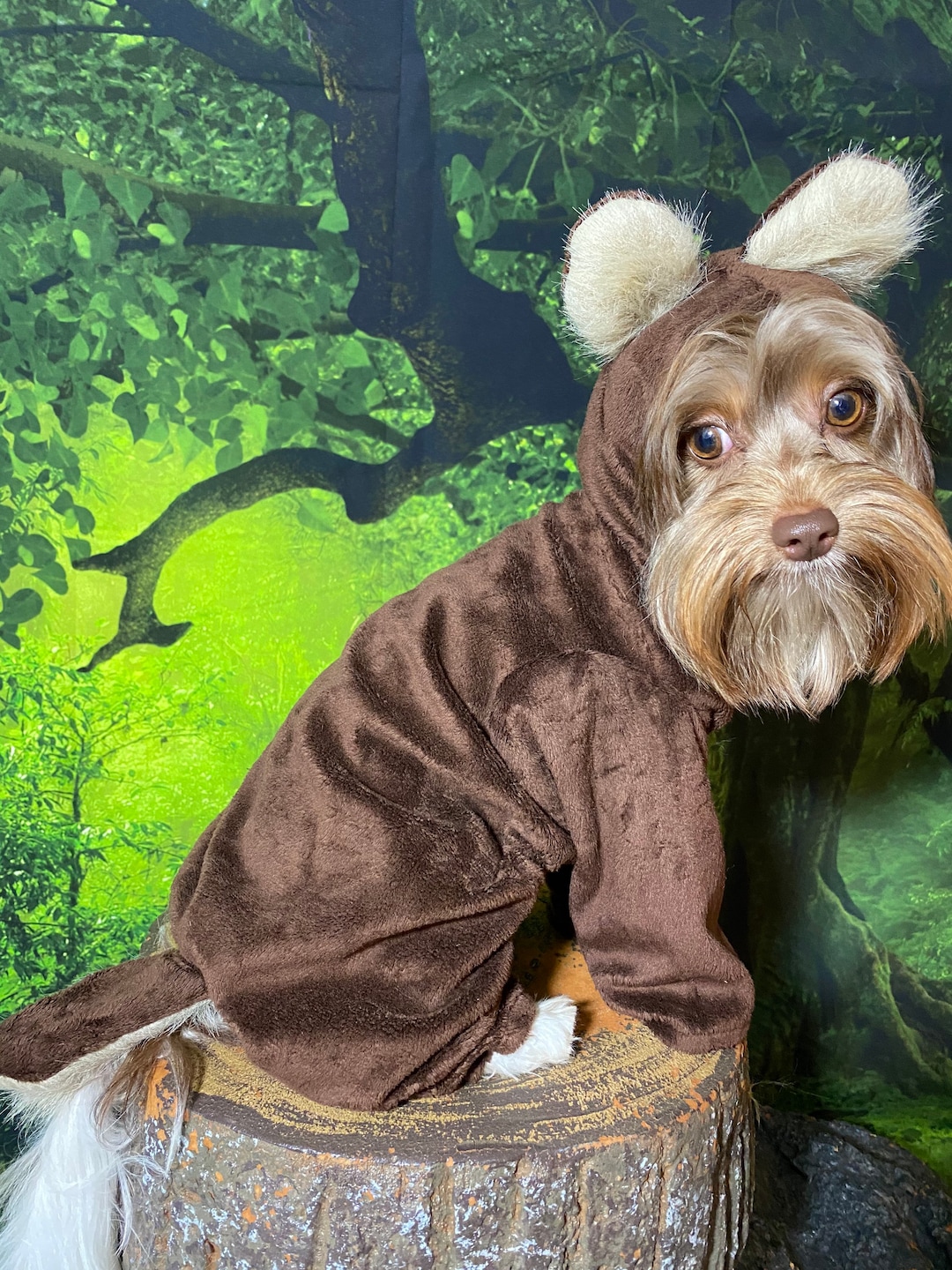 Teddy Bear/bear Dog Costume Size Small, Medium, Large Etsy