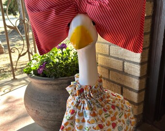 Traje de ganso de porche