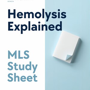 May include: A study sheet titled "Hemolysis Explained" with the text "MLS Study Sheet" in a light blue font. The background is split into white and light blue sections. A small stack of white paper is in the upper right corner.