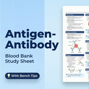 Op de afbeelding: Een blauw en wit studieblad getiteld "Antigeen-Antilichaam Bloedbank Studieblad" met de woorden "Met Bench Tips" eronder. Het blad bevat diagrammen en tekst over antigenen en antilichamen.