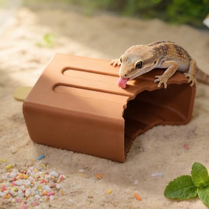 May include: A brown, rectangular popsicle-shaped hideout with a bite mark on one side, featuring a small, spotted gecko resting on top and licking the edge. The object has a smooth surface and a small wooden stick protruding from the back.