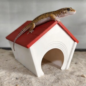 Huisvormige schuilplaats voor reptielen: Bauhaus-stijl, modulair, meerdere kleuren, voor gekko's en baardagamen