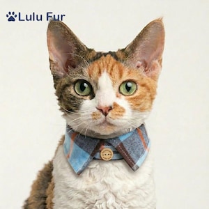 Puede incluir: Una taza de cerámica blanca con un asa negra y el texto "But First, Coffee" en negrita negra. La taza se encuentra sobre un fondo borroso, sugiriendo un ambiente acogedor.