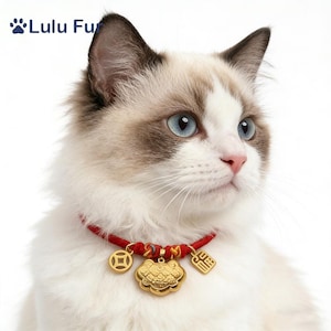 Puede incluir: Un gato Ragdoll con ojos azules que lleva un collar rojo con amuletos dorados. Los amuletos incluyen una moneda, un candado decorativo y un amuleto rectangular. El logotipo de Lulu Fur está en la esquina superior izquierda.