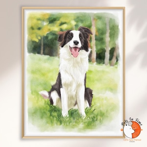 May include: A framed watercolor painting of a black and white Border Collie sitting in a grassy field with trees in the background. The dog has its mouth open with its tongue out. A small logo in the bottom right corner reads Pets In Time.