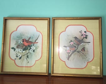 Vintage Bird Artwork - F Massa - Prints - Framed - Set of Two