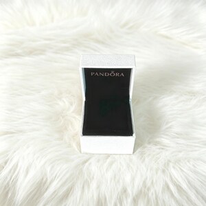 Puede incluir: Un joyero rectangular de color blanco con un exterior texturizado y una tapa con bisagras. El interior est&aacute; forrado con tela negra y la palabra PANDORA est&aacute; impresa en una fuente met&aacute;lica en el interior de la tapa, sobre el compartimento.
