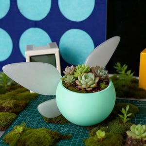 May include: A mint green, spherical planter with a cluster of succulents. The planter has two large, translucent, wing-shaped accents. The arrangement sits on a green cutting mat with moss and other small plants in the foreground.