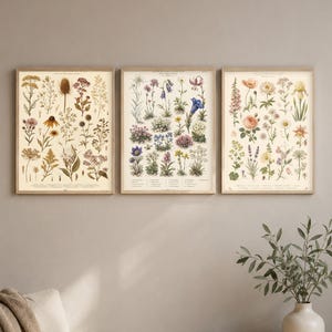 Trittico di illustrazioni floreali vintage | Quadri botanici da parete incorniciati | Set di stampe su tela | Decorazioni con fiori selvatici