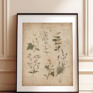 May include: A framed botanical print titled Flora Lunaris on aged parchment paper. The artwork features detailed illustrations of various white and purple flowers with handwritten Latin labels, scientific notes, and small stamps in a black frame.