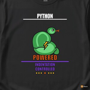 Camiseta con humor sobre programación para programadores/desarrolladores con Python imagen 2