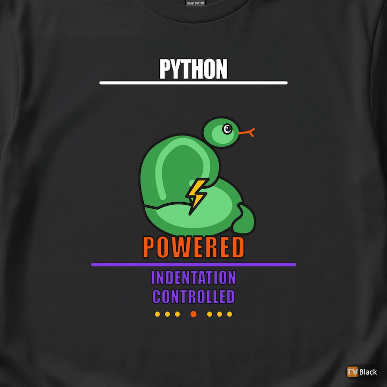 Camiseta con humor sobre programación para programadores/desarrolladores con Python imagen 2
