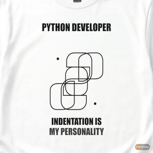 Python Developer Fashion / Programmer Humor / Coding T-Shirt / IT Gift image 2