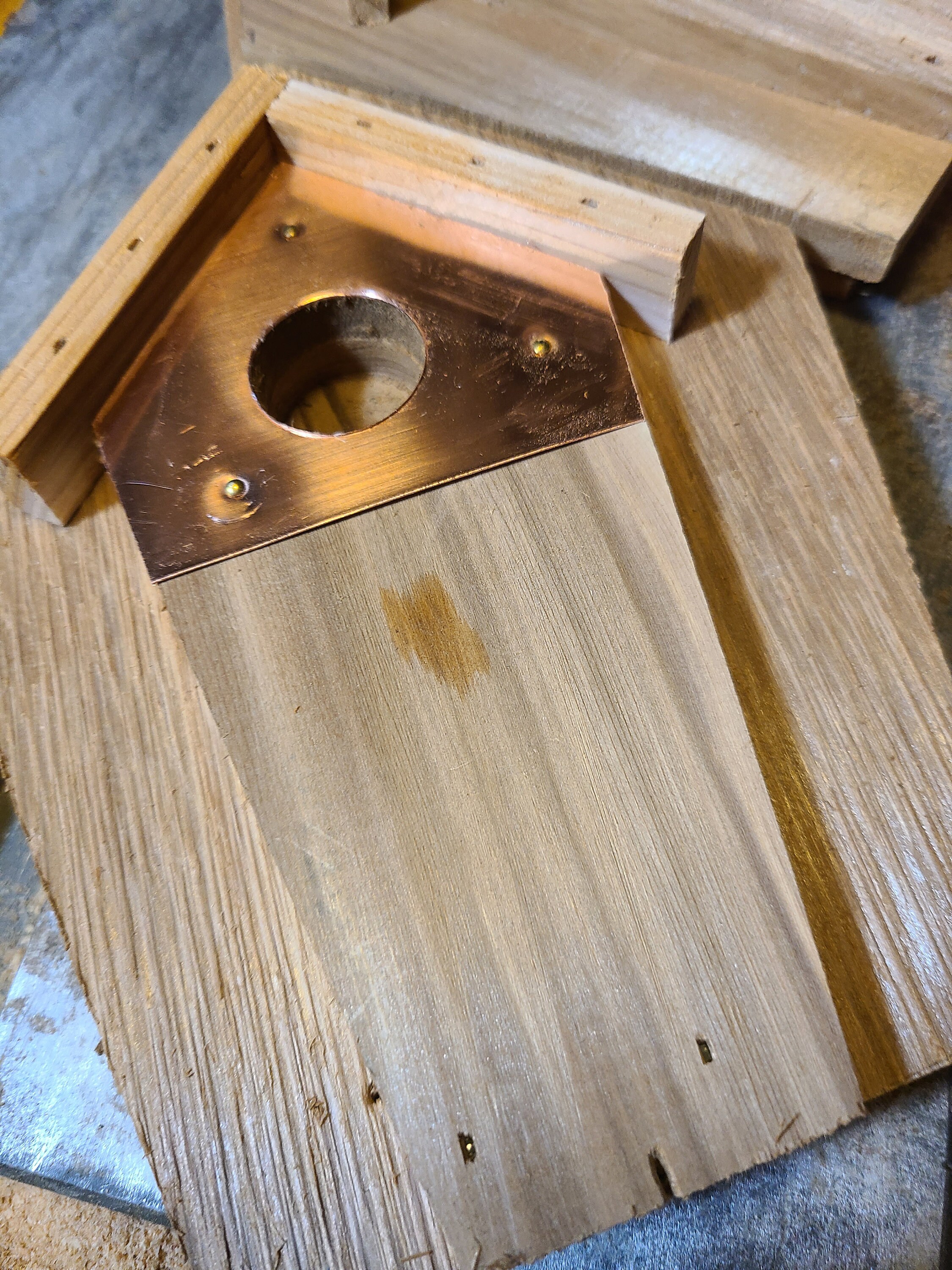How to Build a Wren House, Cedar Wren House, Bird House, Wren, Bird