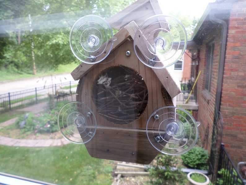 Window mounting wren bird house Cedar Bird House Wooden Wren Etsy