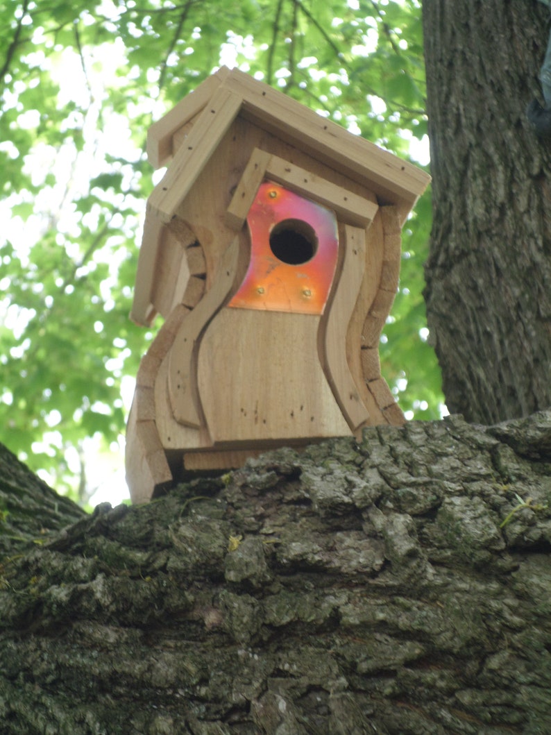 Wren Bird House, Cedar Wren House Order Four Wren House Etsy