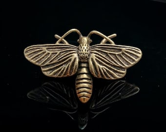 Figura decorativa de pared de polilla de latón, pequeña figura de insecto con alas detalladas, ideal para vitrinas de curiosidades.