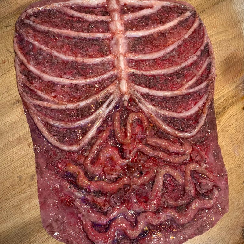Zombie Corpse Rib Torso Horror Prop - Etsy
