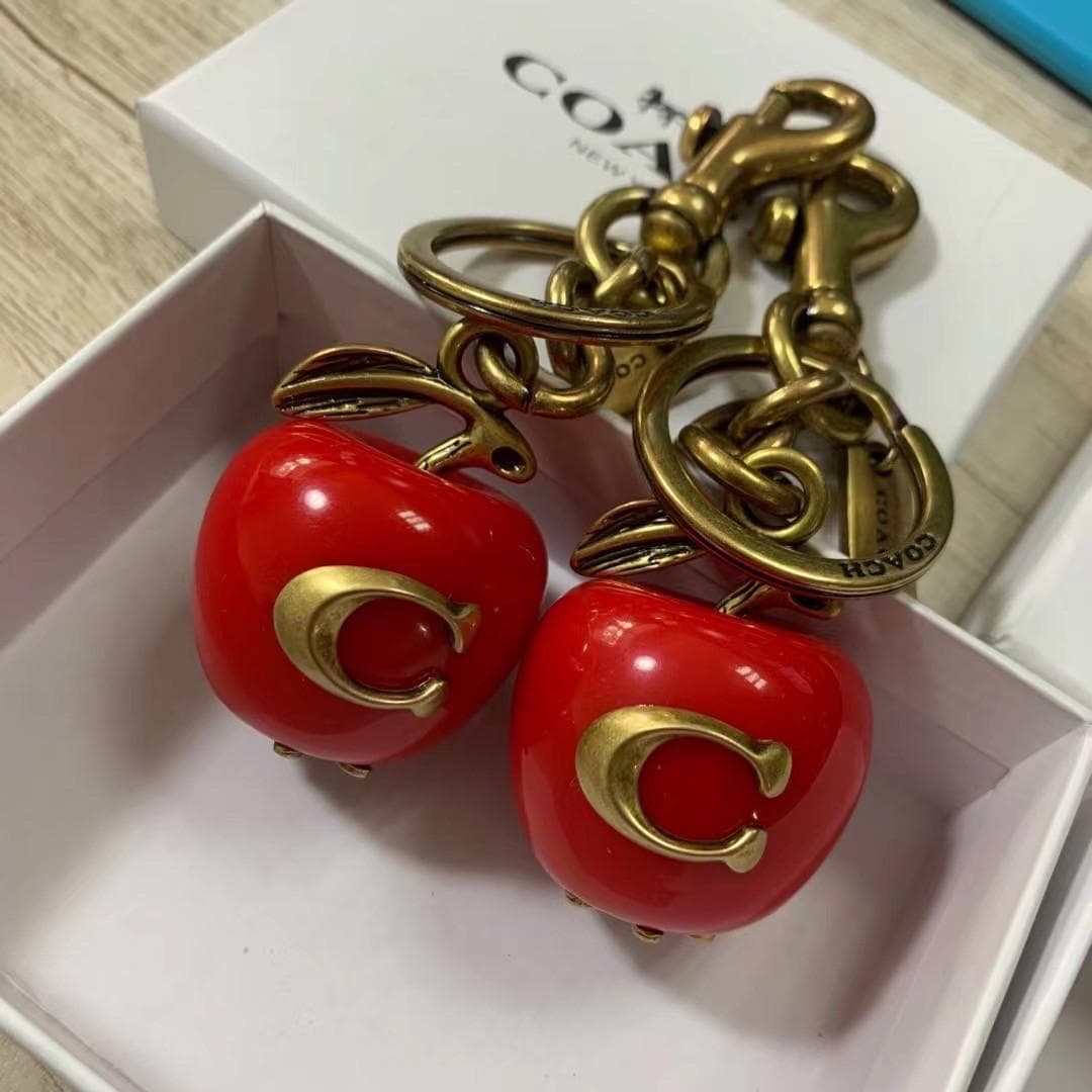 Coach Apple Charm Bag - Etsy
