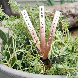 May include: Three copper plant markers with the words "Basil", "Cilantro", and "Oregano" engraved on them. The markers are inserted into a terracotta pot filled with green plants.