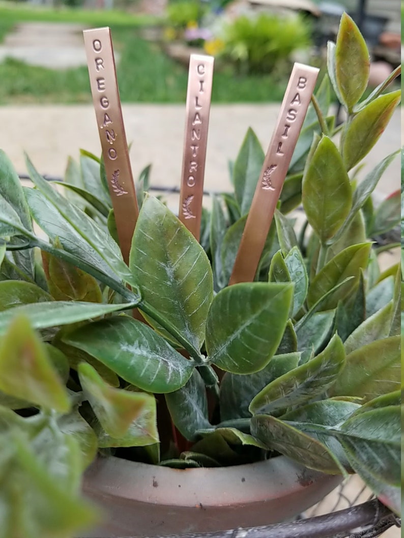 Garden Herb Markers Copper 1/4 x 6 image 2