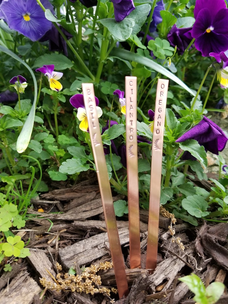 Garden Herb Markers Copper 1/4 x 6 image 5