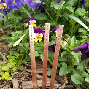 Garden Herb Markers Copper 1/4 x 6 image 4