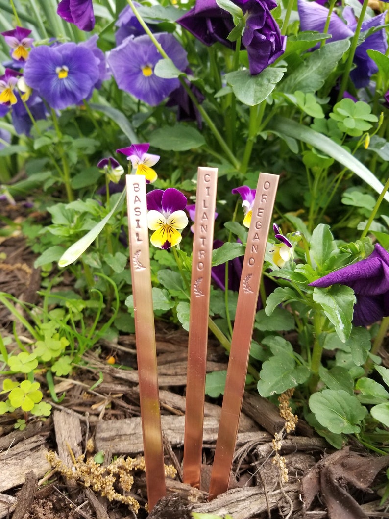 Garden Herb Markers Copper 1/4 x 6 image 4