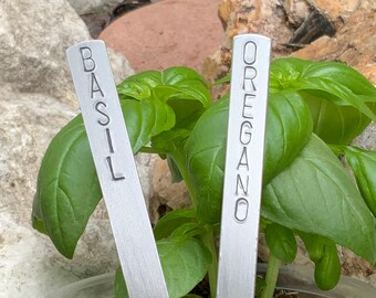 May include: A close-up shot of a small basil and oregano herb garden in a clear plastic pot. Two metal plant markers are labeled "BASIL" and "OREGANO". The basil and oregano plants have vibrant green leaves.