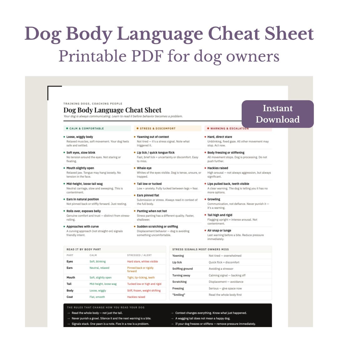 Dog Body Language Cheat Sheet | Learn Stress Signals, Warning Signs ...