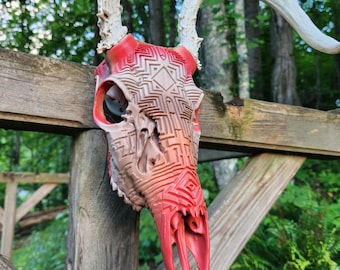 Whitetail Deer European Mount | DIY Antler Mount Kit | Maze Display