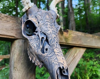 Whitetail Deer European Mount | DIY Antler Mount Kit | Dragon Slayer Display