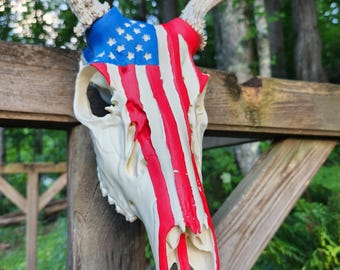 Whitetail Deer European Mount | DIY Antler Mount Kit | Freedom Display