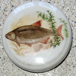 May include: A circular, white ceramic lid with a detailed illustration of a fish. The fish has brown scales and reddish fins, with green and beige aquatic plants. The lid has a glossy finish, creating a naturalistic scene.