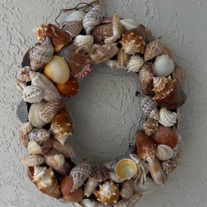 Hand made Shell Wreath. Shells from Florida Gulf Coast. 13 inches by 11 inches.