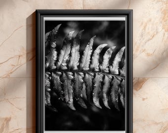 Fern Print Black And White, Botanical Wall Art, Dark Moody Nature Decor, Macro Photography Print, Minimalist Home Decor | B#56