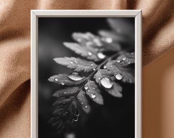 Black And White Fern Print, Moody Botanical Photography, Dark Nature Wall Art, Macro Plant Decor, Minimalist Print | B#56.1