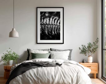 Fern Print Black And White, Botanical Wall Art, Dark Moody Nature Decor, Macro Photography Print, Minimalist Home Decor | B#56