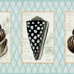 Vintage Seashell Wallpaper Border – Dictionary Style Coastal Kitchen Decor (Prepasted)