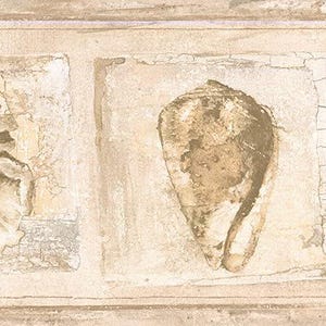 May include: A decorative wallpaper border featuring a repeating pattern of seashells in various shapes and sizes. The shells are depicted in shades of brown and beige, set against a textured, off-white background, evoking a coastal theme.
