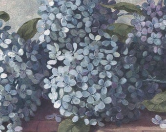 Floral Wallpaper Border, Blue Lilac Flowers, Cottage Style, Washable, Pre-pasted (15 ft x 7 in)