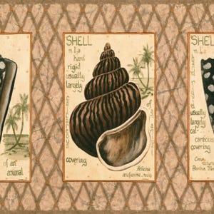 May include: A vintage-style illustration of a shell with brown and black stripes, labeled "SHELL" with descriptive text. The artwork includes palm trees and scientific annotations, set against a textured background.