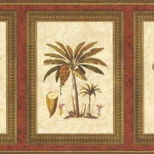 May include: Wallpaper border featuring framed botanical illustrations of palm trees and bananas. The artwork is set against a cream-colored background, framed by a gold border and a deep red outer frame. The style is reminiscent of vintage botanical prints.