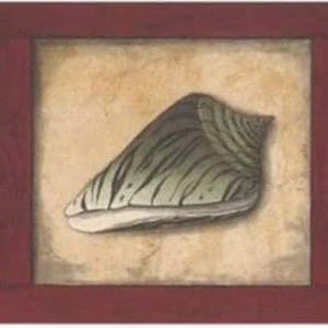 May include: A framed artwork featuring a seashell illustration. The shell is depicted in shades of green and gray with detailed lines, set against a beige background. The frame is a deep red color, creating a contrast.