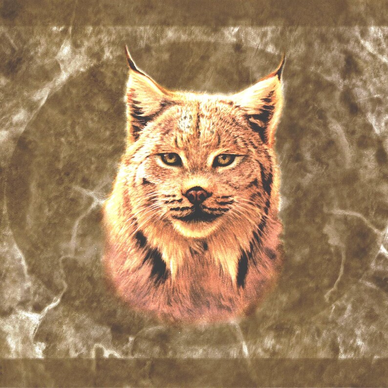 Lynx Cougar Wildlife Wallpaper Border - Rustic Lodge Cabin Den Trim (15 ...