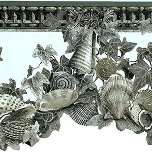 May include: Decorative wallpaper border featuring seashells, ivy leaves, and ornate architectural details in shades of gray and silver. The design includes various shell shapes and textures, creating a coastal or nautical theme.