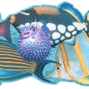 Op de afbeelding: Een kleurrijke illustratie van verschillende tropische vissen. De afbeelding toont een kogelvis met paarse stekels, een trekkervis met witte vlekken en andere vissen met oranje en blauwe strepen. De achtergrond is lichtblauw.