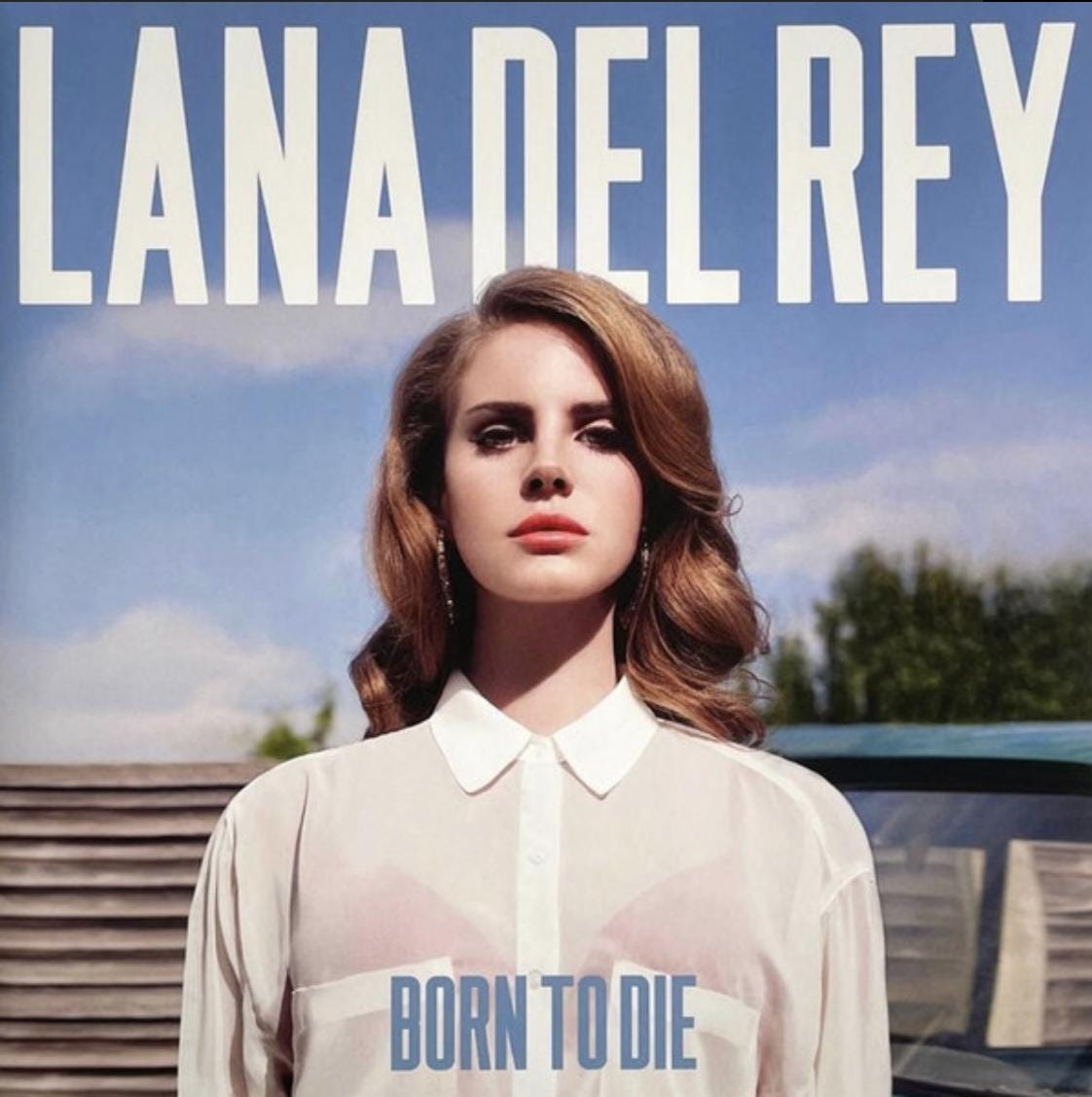 Lana Del Rey Vinyl Record - Etsy